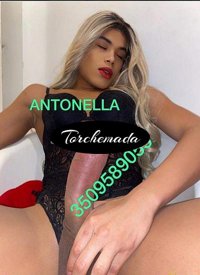 Transex Antonella  Verbania
